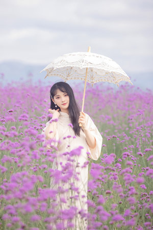 野花香电视剧在线观看高清版免费